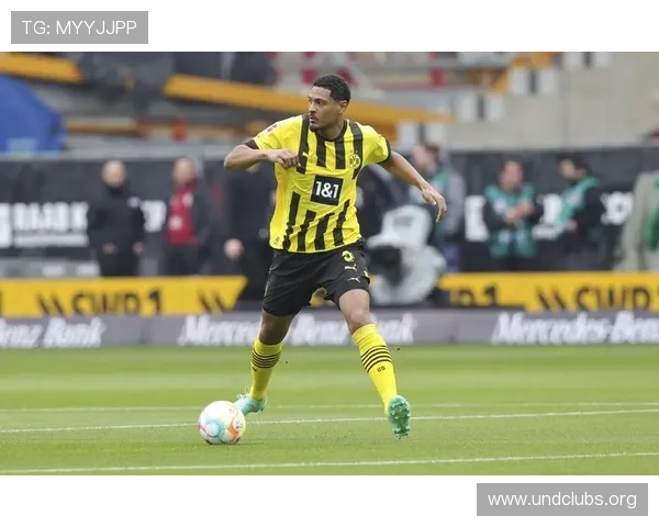 k8凯发中文站体育赛事直播与投注技巧提升你的赢率实用攻略