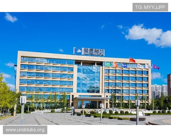 凯发集团官网首页客户服务与常见问题解答为玩家提供全方位支持与帮助