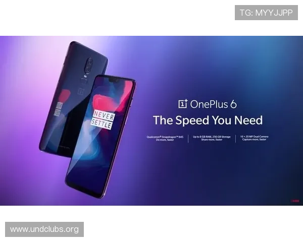 解决凯发旗舰厅全站登录不了问题的实用技巧与用户操作指南 解决凯发旗舰厅全站登录不了问题的实用技巧与用户操作指南